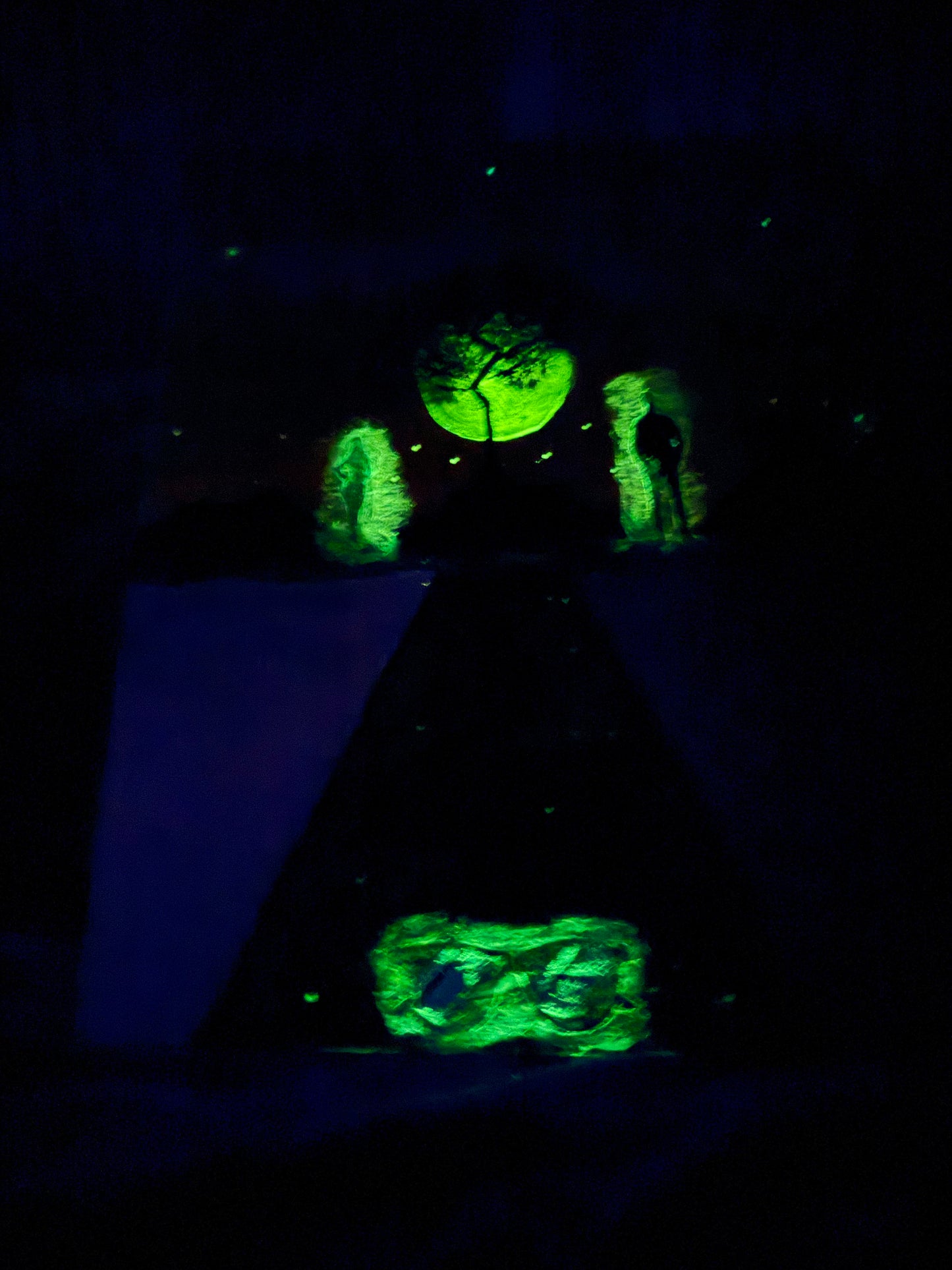 $ummer Night$ Painting (Glow in The Dark)