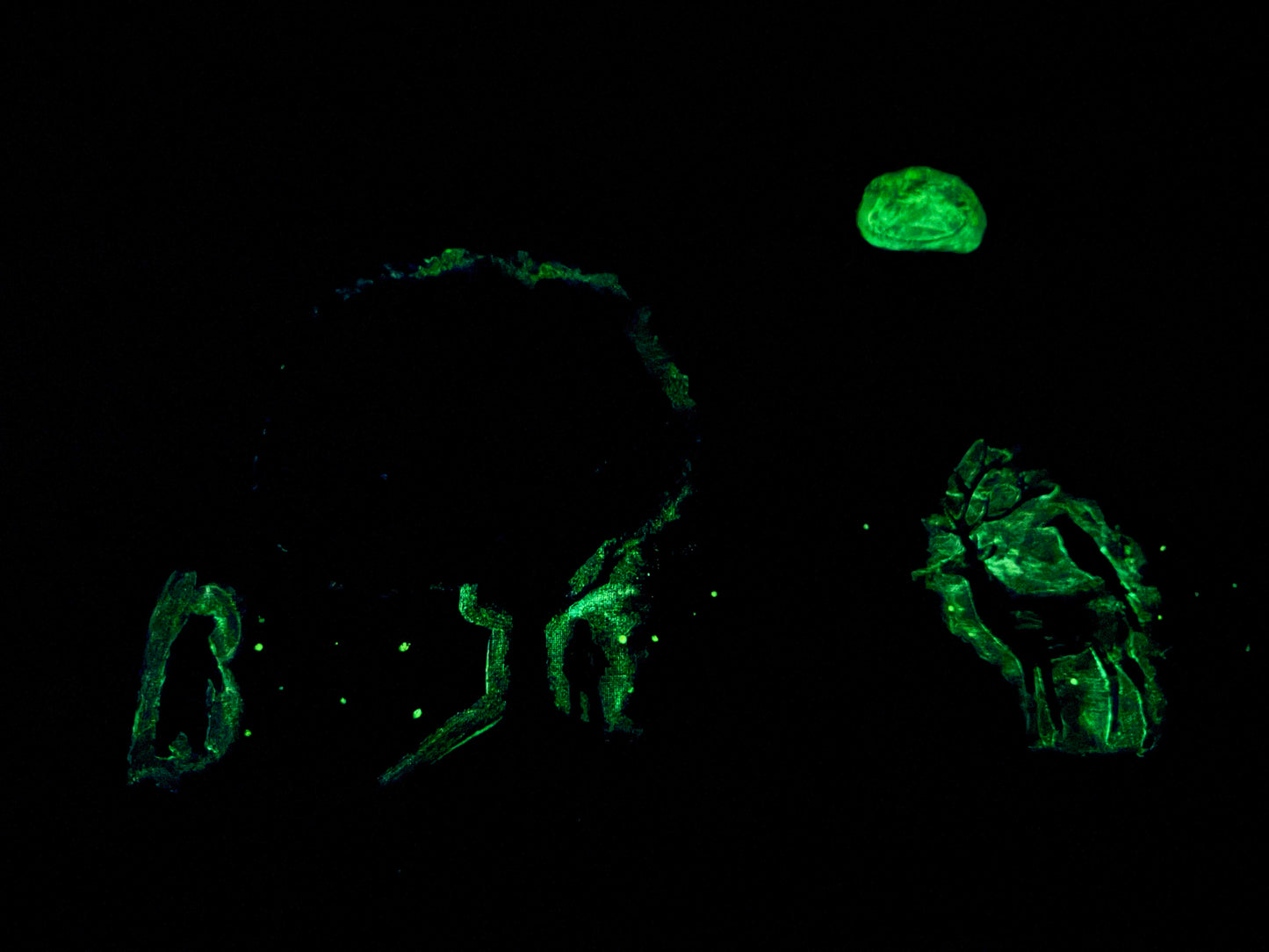 D33r Painting (Glow In The Dark)