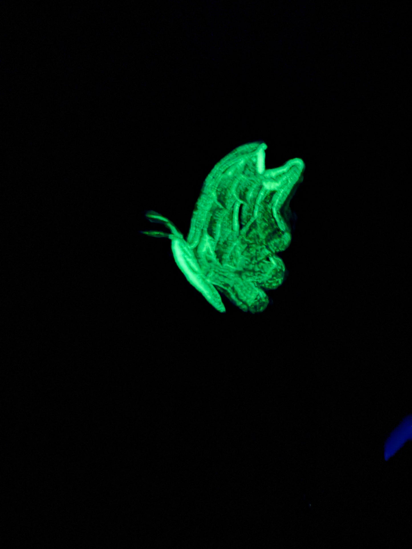 "Look Up" Glow In The Dark Painting (16x20)