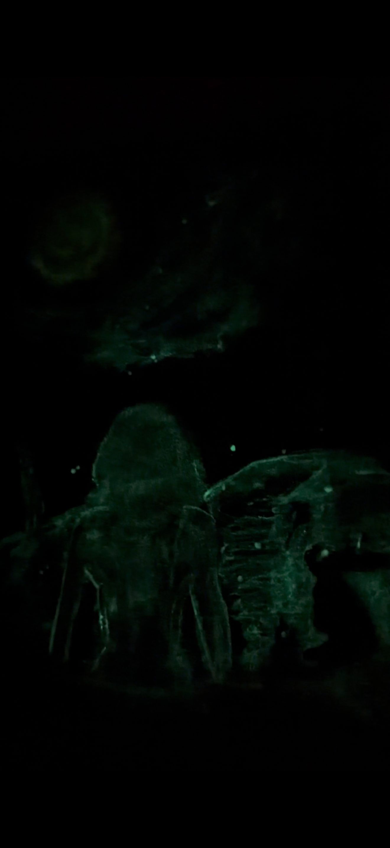 Walk Glow In The Dark Painting
