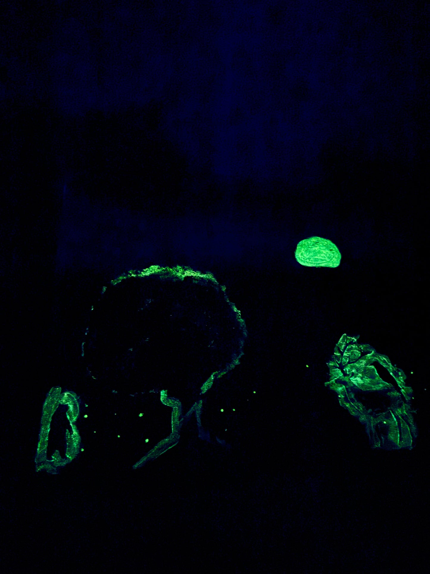 D33r Painting (Glow In The Dark)