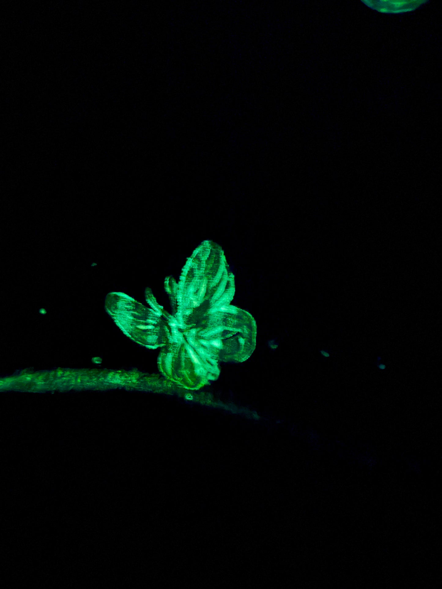 Hidden Hills 3 "The Blue Ridge" Painting ( Glows in the Dark )