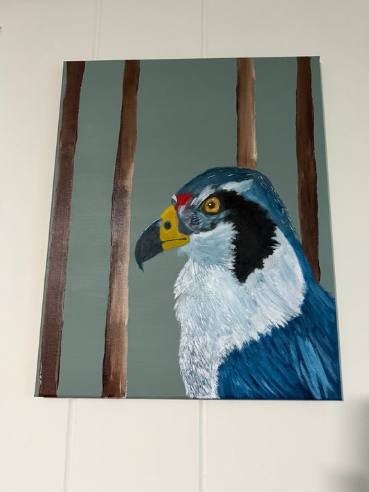 "Falcon" Painting (16x20)